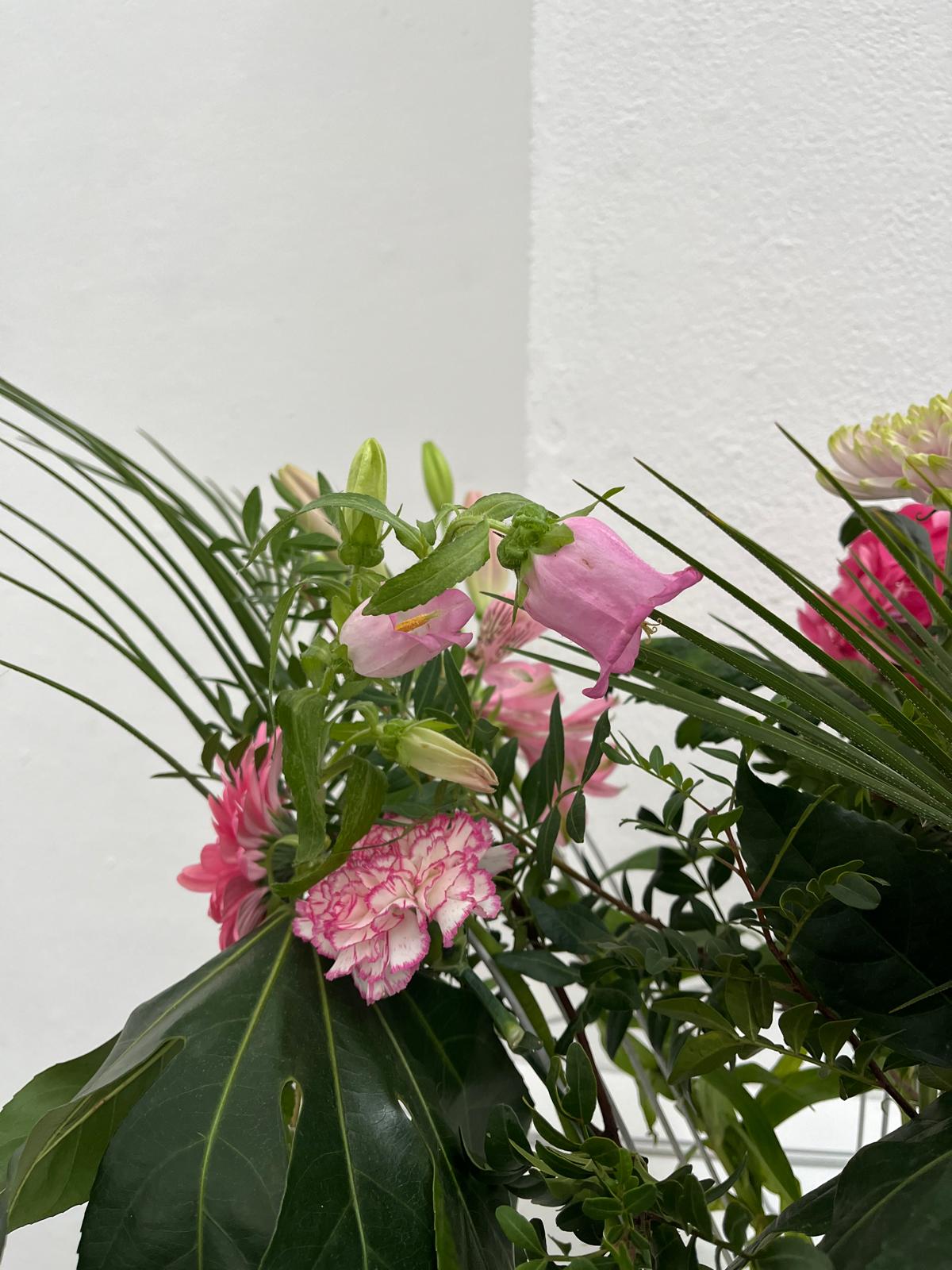 Design project with typography