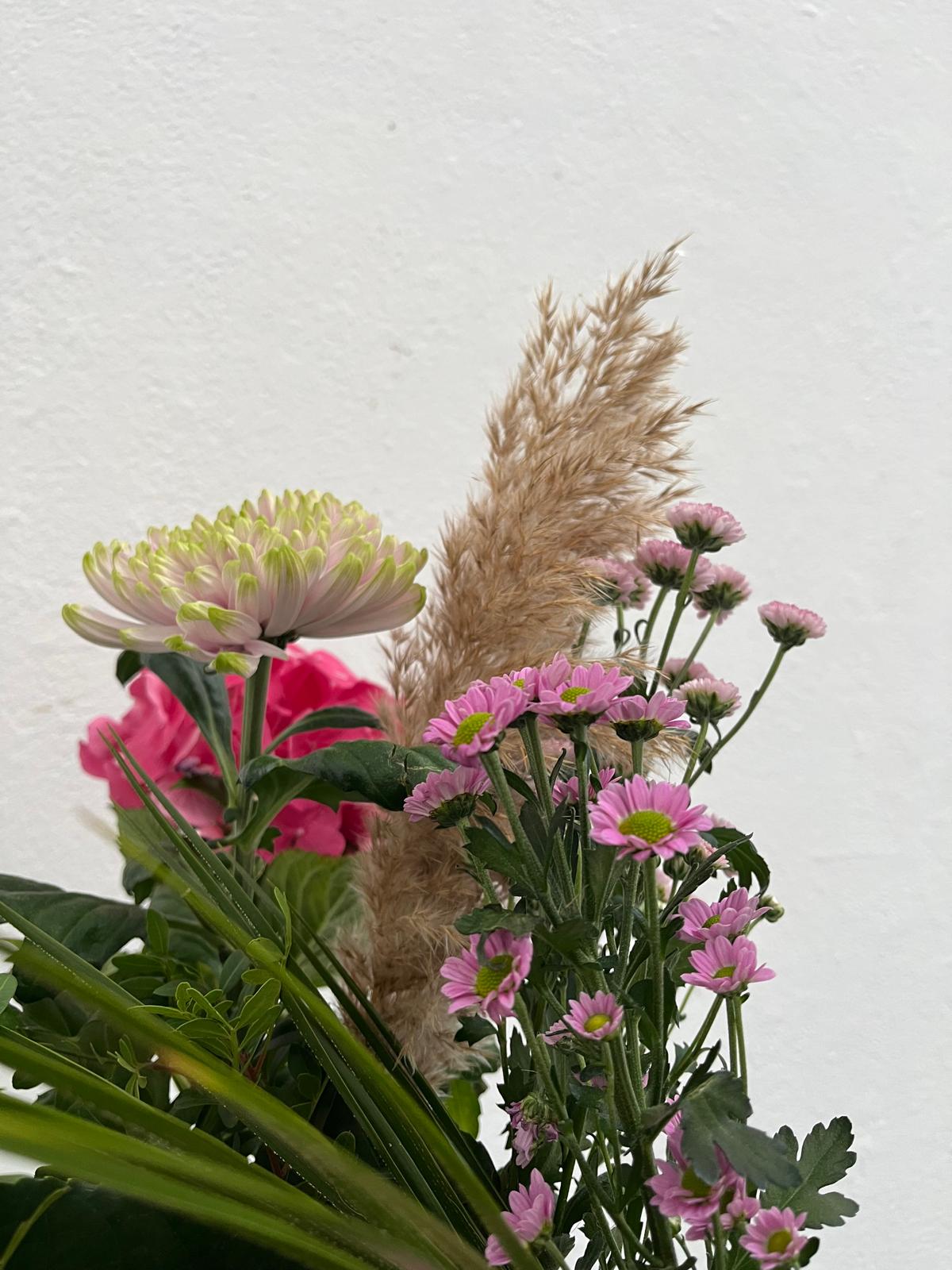 Fashion project display